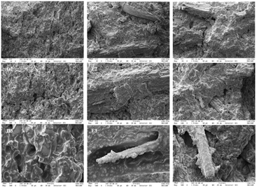 image file: d5fb00751h-f2.tif