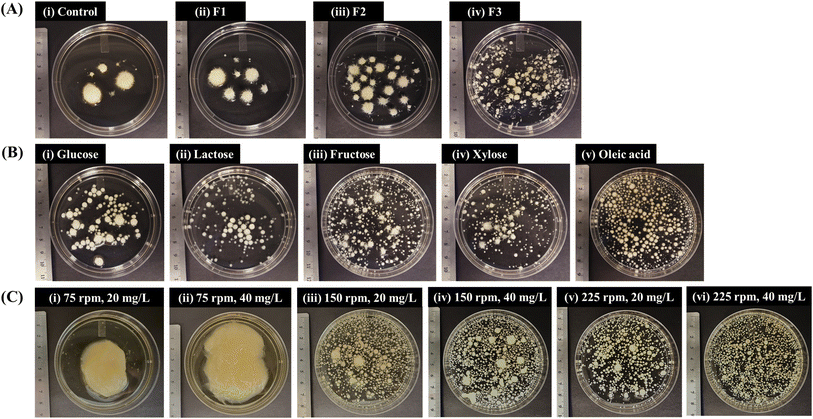 image file: d5fb00752f-f5.tif