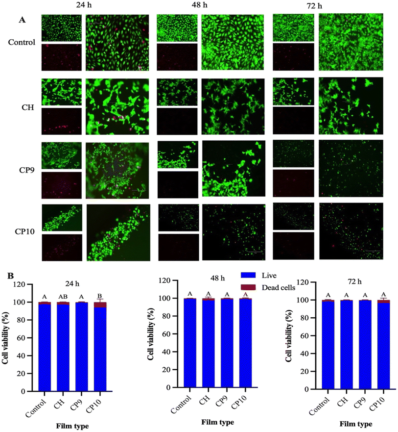 image file: d5fb00775e-f3.tif