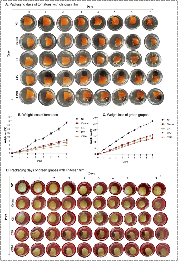 image file: d5fb00775e-f7.tif