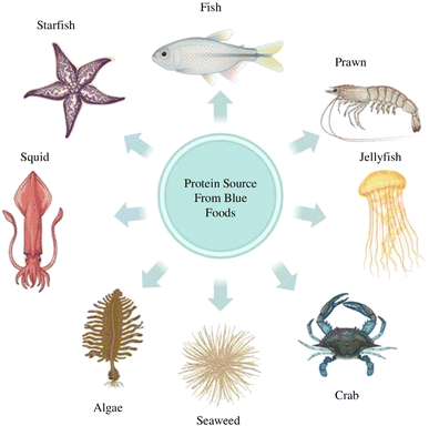 image file: d5fb00784d-f1.tif