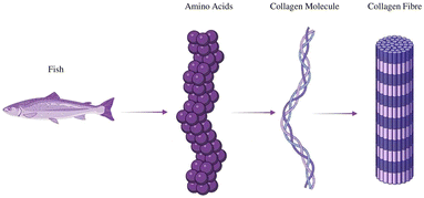 image file: d5fb00784d-f3.tif