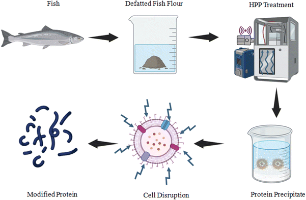image file: d5fb00784d-f5.tif