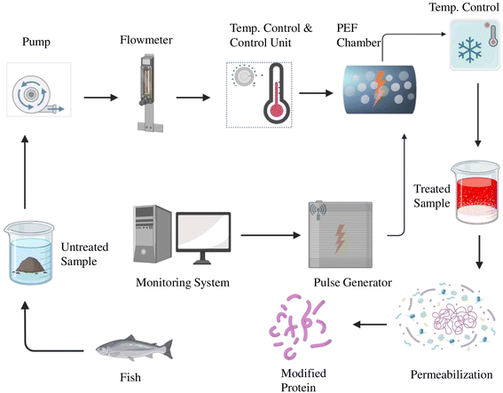 image file: d5fb00784d-f6.tif