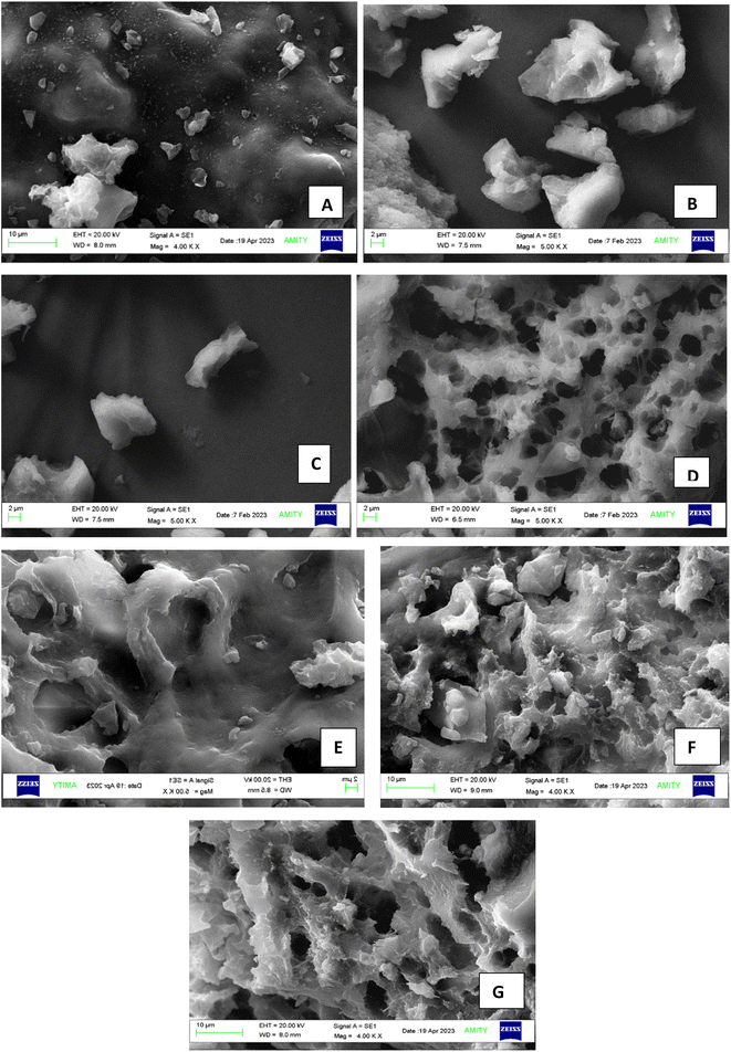 image file: d5fb00787a-f6.tif