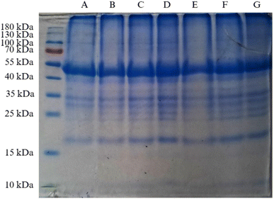 image file: d5fb00787a-f7.tif