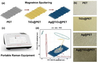 image file: d5fb00802f-f1.tif
