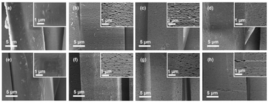 image file: d5fb00802f-f2.tif