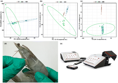 image file: d5fb00802f-f9.tif