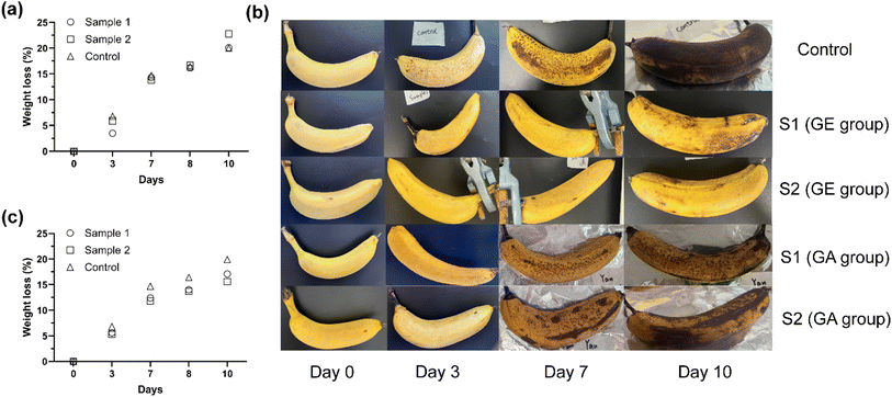 image file: d5fb00804b-f4.tif