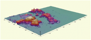 image file: d5fb00804b-u1.tif