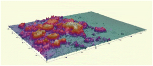 image file: d5fb00804b-u3.tif