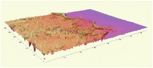 image file: d5fb00804b-u7.tif