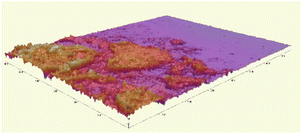 image file: d5fb00804b-u8.tif