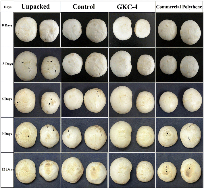 image file: d5fb00817d-f6.tif