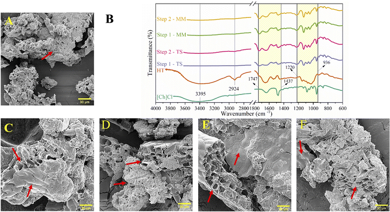 image file: d5fb00820d-f5.tif