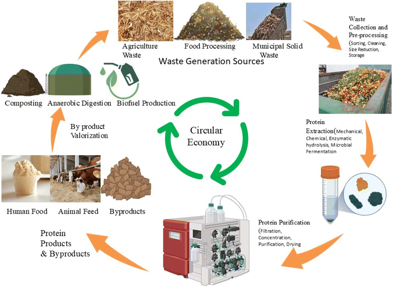 image file: d5fb00829h-f2.tif