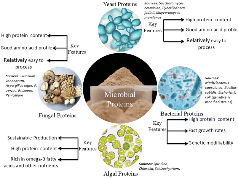 image file: d5fb00829h-f3.tif