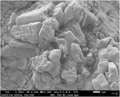 image file: d5fb00833f-f2.tif