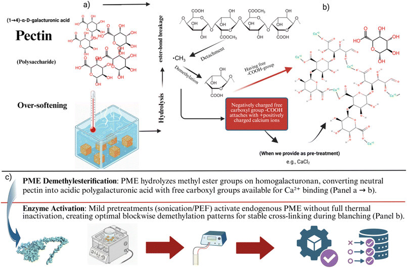 image file: d5fb00839e-f1.tif