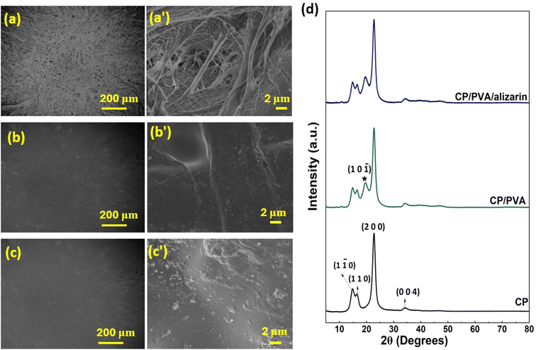 image file: d5fb00843c-f3.tif