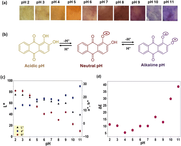 image file: d5fb00843c-f8.tif