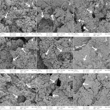 image file: d5fb00871a-f2.tif