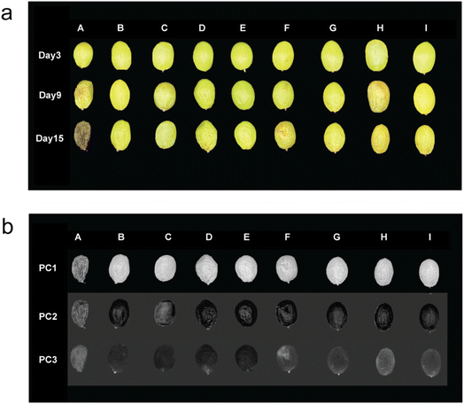 image file: d5fb00876j-f3.tif