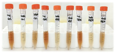 image file: d5fb00879d-f3.tif