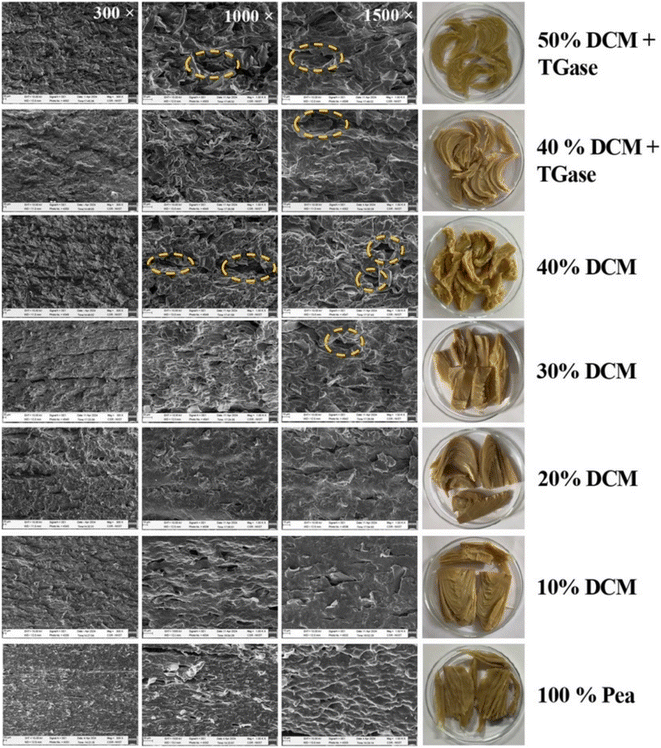 image file: d5fb00890e-f7.tif