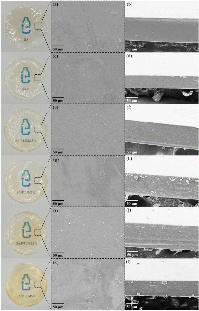 image file: d5fb00897b-f1.tif