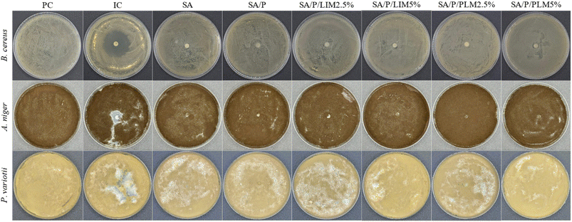 image file: d5fb00897b-f8.tif