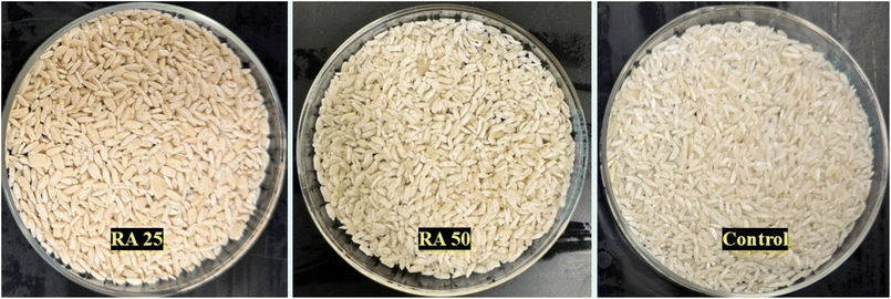 image file: d5fb00902b-f1.tif