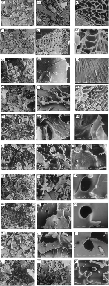 image file: d5fb00906e-f5.tif