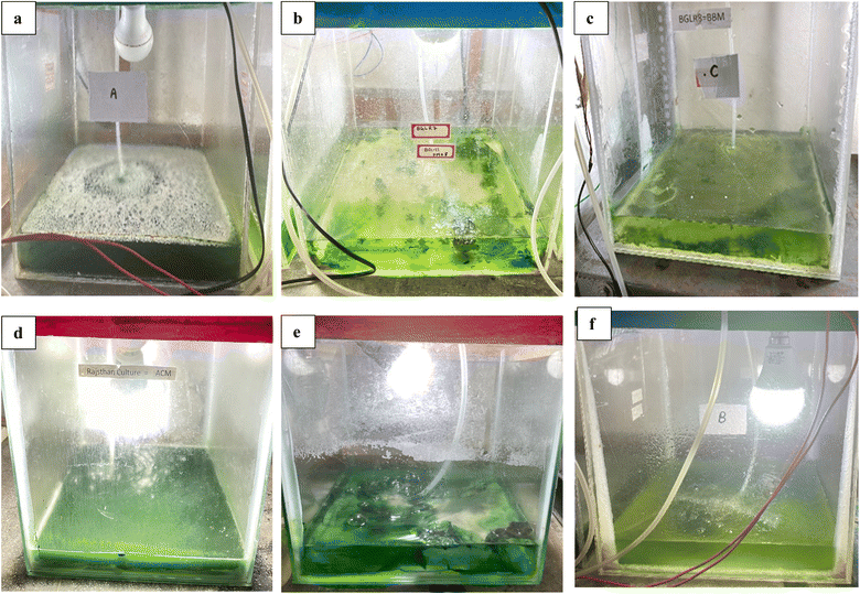 image file: d5fb00907c-f1.tif