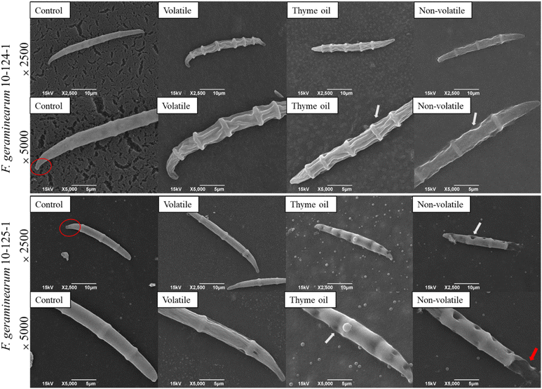 image file: d5fb00909j-f3.tif