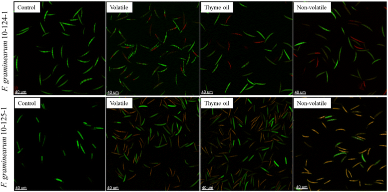 image file: d5fb00909j-f4.tif