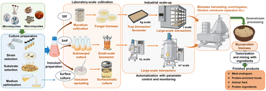 image file: d5fb00914f-f2.tif