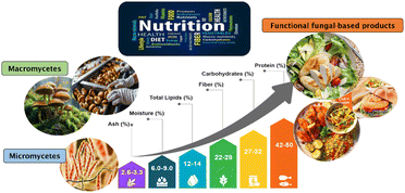 image file: d5fb00914f-f3.tif