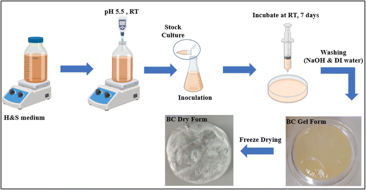 image file: d5fb00923e-f1.tif