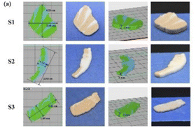 image file: d5fb00930h-u1.tif