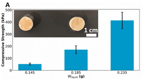 image file: d5fb00930h-u10.tif