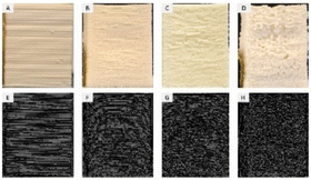 image file: d5fb00930h-u3.tif