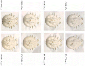 image file: d5fb00930h-u8.tif