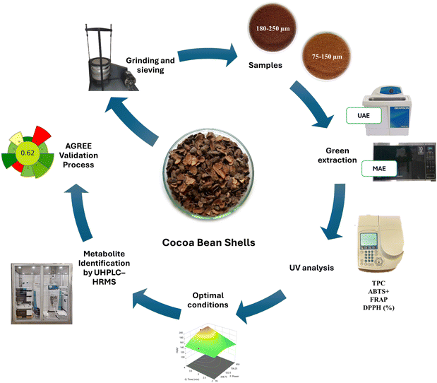 image file: d5fb00935a-f1.tif