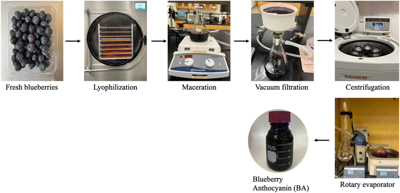 image file: d5fb00942a-f1.tif