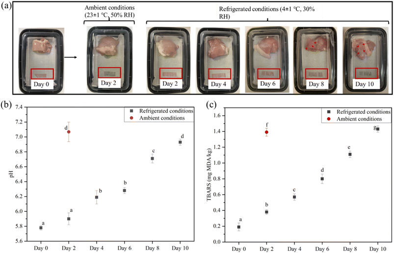 image file: d5fb00942a-f9.tif