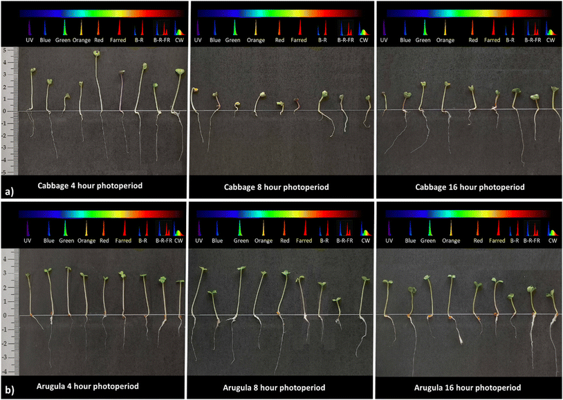 image file: d5fb00947b-f3.tif