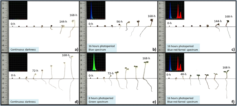 image file: d5fb00947b-f8.tif