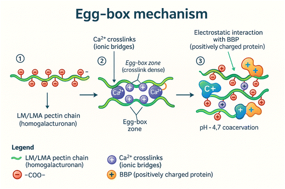 image file: d5fb00949a-f6.tif